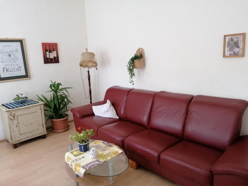 סאלבורג Ruestzeitenheim Sonnenschein מראה חיצוני תמונה